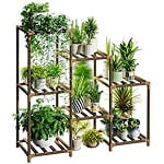 Plant Stand Coupons & Offers